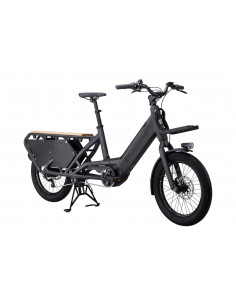 Elcykel Crescent ELAST 20... 2