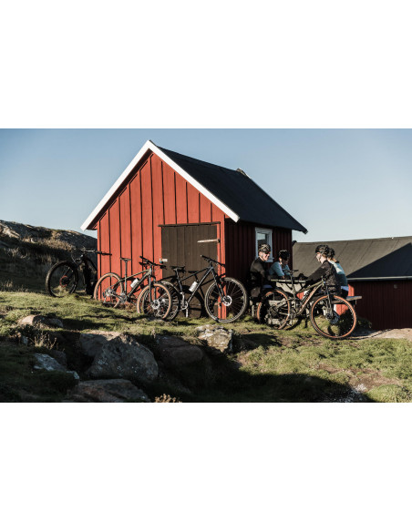 Cykel Crescent Ire 7vxl mossgrön