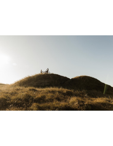 Cykel Crescent Ire 7vxl mossgrön