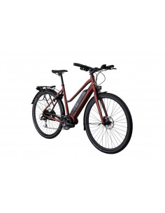 Elcykel Crescent ELly 8vxl... 2