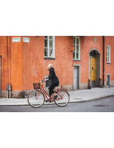 Cykel Monark Karin 3vxl Rouge 2