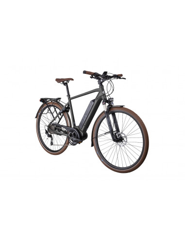 Elcykel Crescent Elder 10vxl mossgrön...