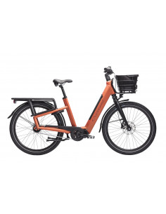 Elcykel Crescent Elmer 5vxl...