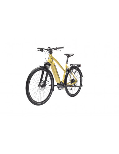 Elcyekl Crescent Elda 50S 9vxl 51cm Guld