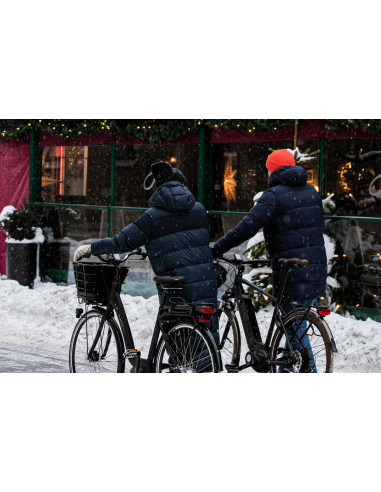 Elcykel Crescent Elora 7vxl Svart Matt