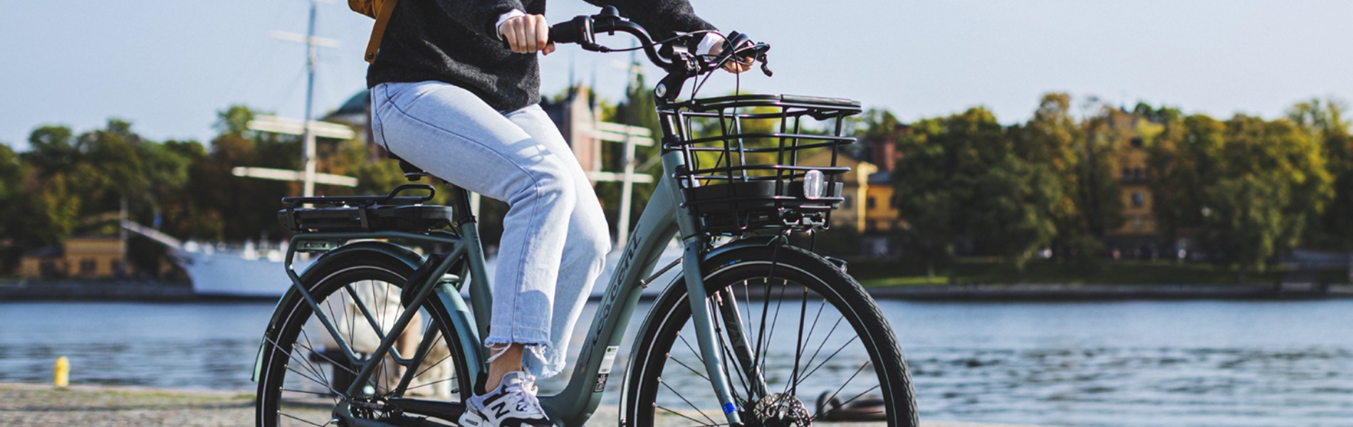 Elcyklar standard