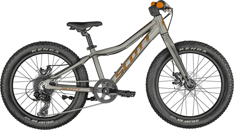 SCOTT Roxter 20 silver Bike