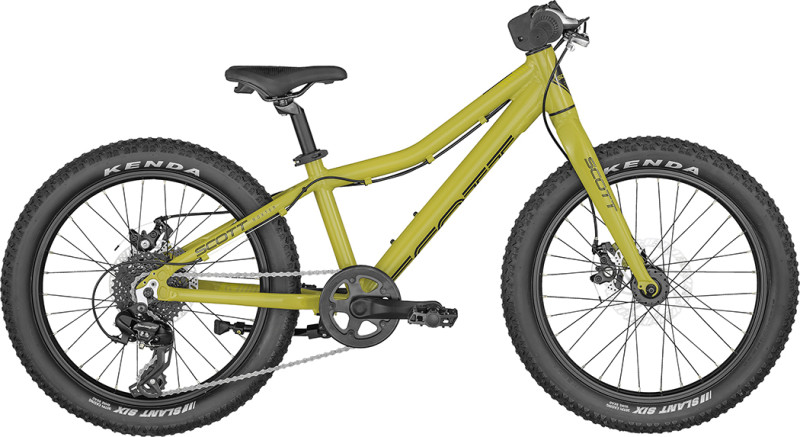 SCOTT Roxter 20 green Bike