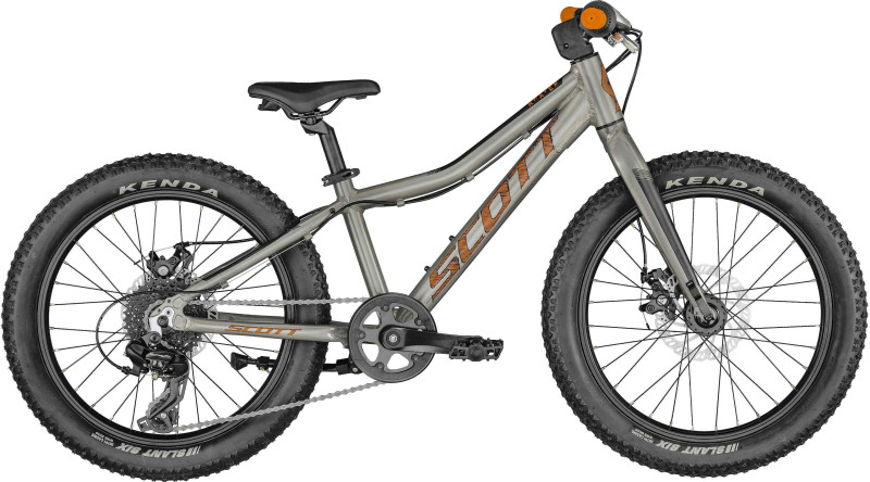 SCOTT Roxter 20 silver Bike
