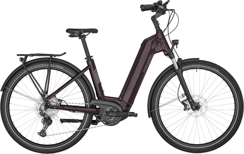 E-Horizon Expert 6 Wave plum