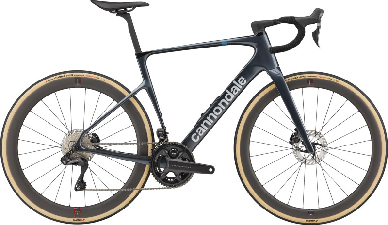 Synapse Crb 1