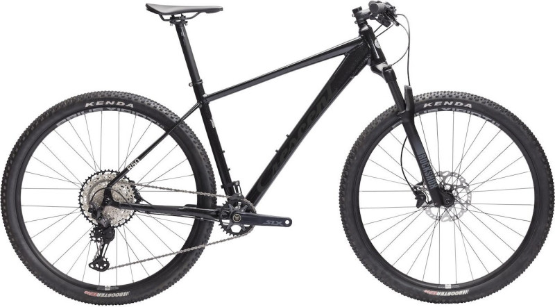 Rask R50 29” 12vxl Svart blank